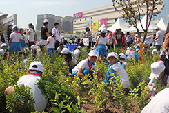 “凯发一触即发故乡林”植树活动