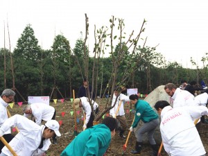 苏州“凯发一触即发故乡林植树”活动现场