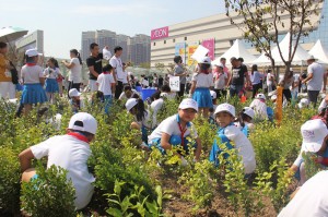 凯发一触即发梦乐城天津津南植树活动现场