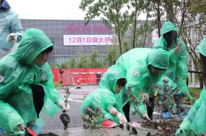 凯发一触即发梦乐城南通星湖植树现场