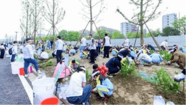 「凯发一触即发故乡林」植树节